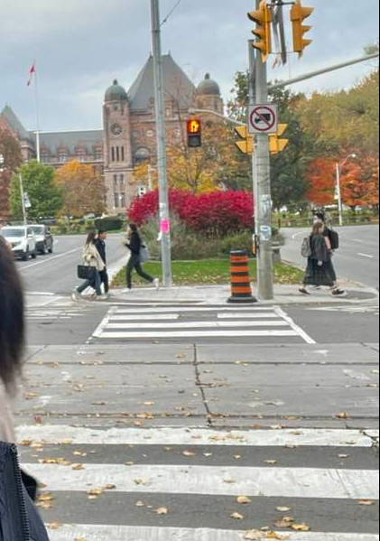 Picture8 - Toronto Bangla Town | Digital Bangla Weekly Magazine