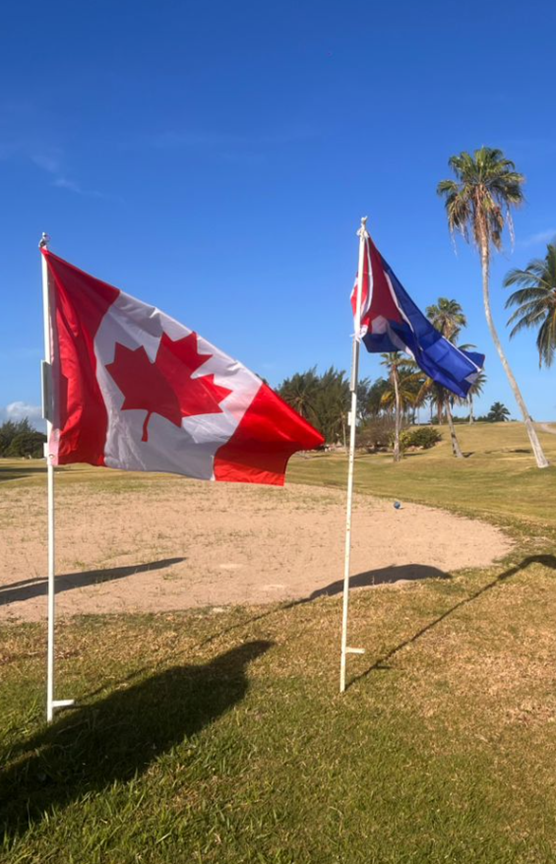 Picture10 - Toronto Bangla Town | Digital Bangla Weekly Magazine Two flags planted in a sandy greenspace: a waving Canadian flag in the foreground and a blue flag behind, with palm trees and a clear blue sky in the background