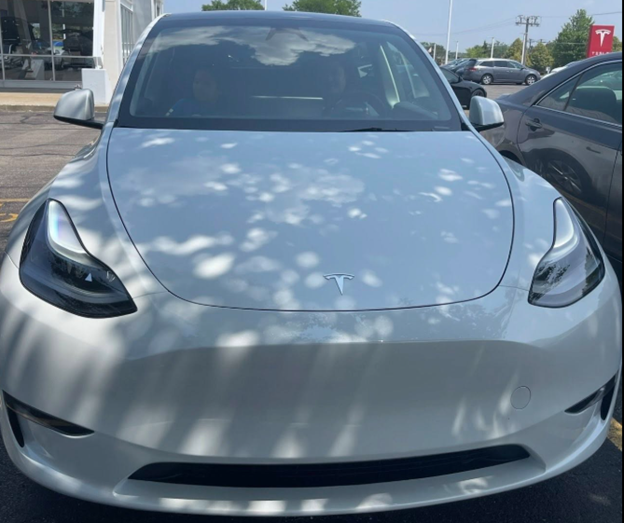 Picture2 - Toronto Bangla Town | Digital Bangla Weekly Magazine Front view of a white Tesla in a parking lot, with tree shadows on the hood and the Tesla emblem centered.