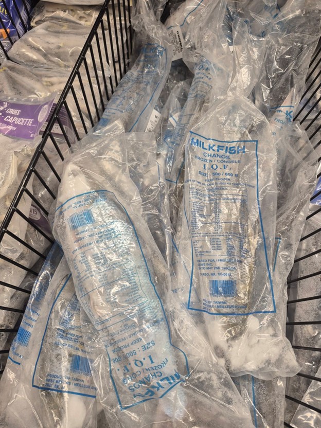 Picture3 - Toronto Bangla Town | Digital Bangla Weekly Magazine Frozen milkfish portions in clear plastic bags piled in a grocery cart.