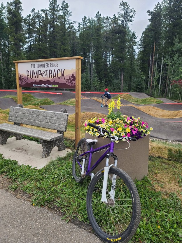 Picture8 - Toronto Bangla Town | Digital Bangla Weekly Magazine Purple bike resting beside a flower-filled planter in front of a pump track sign at a forest park edge.